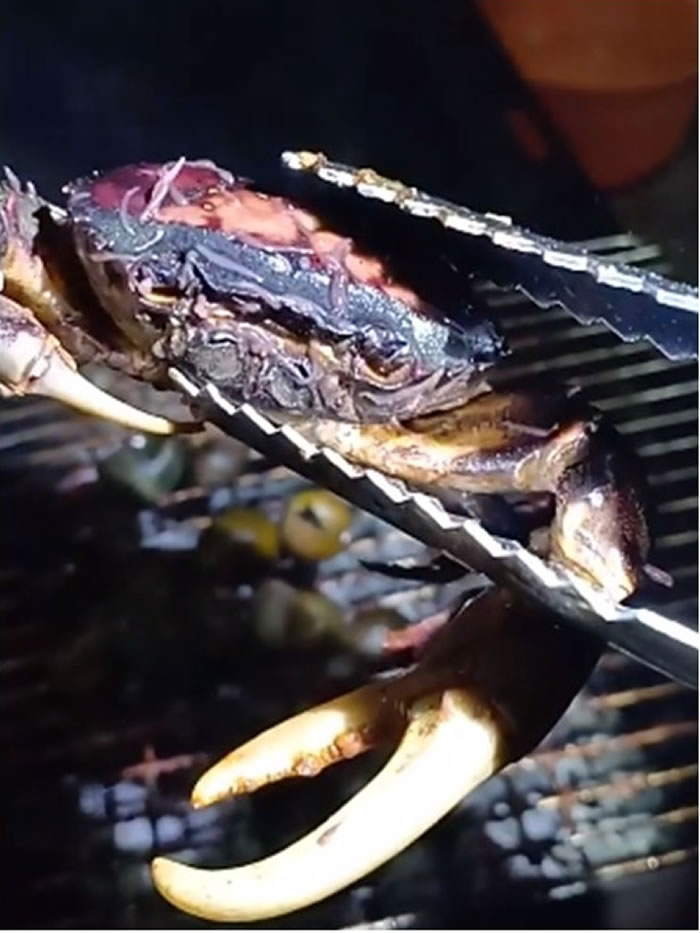 �з���ڻ��Ͽ� ���Ͼ�ð��һ�����䶯�ĳ���������