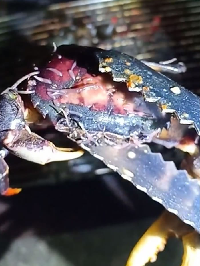 �з���ڻ��Ͽ� ���Ͼ�ð��һ�����䶯�ĳ���������