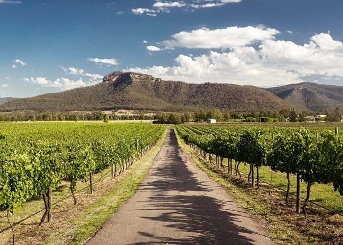 对于红酒业界而言,干旱天气有机会造就佳酿诞生。