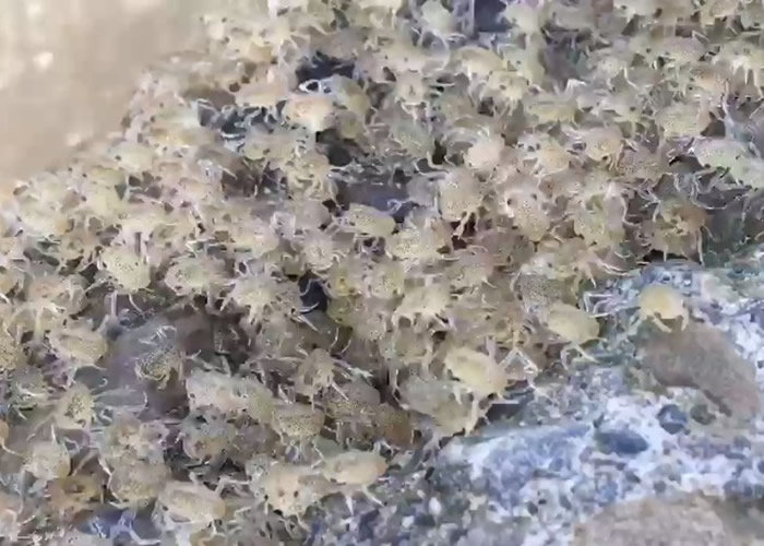 ������ֵ���ƹ�з��з�ذ��ļ��ڡ�