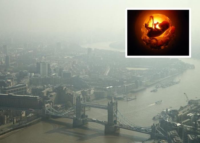 研究证实悬浮粒子可经由孕妇血管,从肺部输送到胎盘。