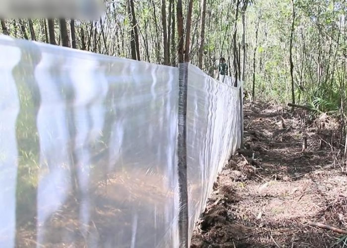 ɽ�������ǲ����˲��µ���·��Ĥ��