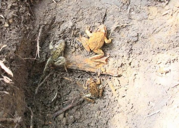 �����޷�������Ĥ�����յ����������ںõ���ӣ��޴����ӡ�