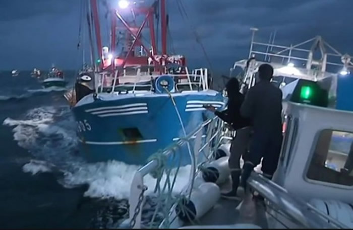 �����Ӣ�׺�Ͽ���̴��ӶԿ�����