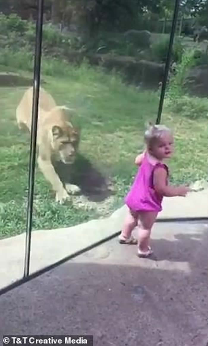 ŵƤǶ԰ʨӸŲ ŻСŮ