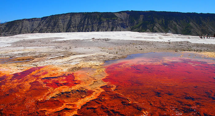 ������ʯ���ҹ�԰���������һ�����š�����ʵ��ЪȪ��С�������