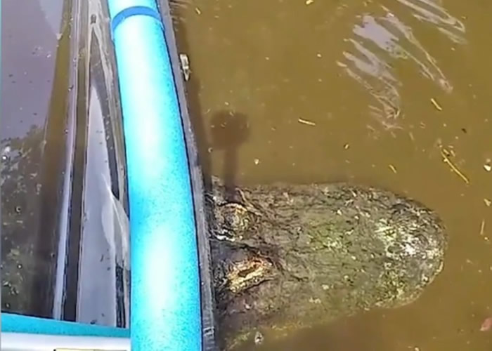 ����������������ӻ�͸����ľ�۶ɺӱ���ס �������׸��־���