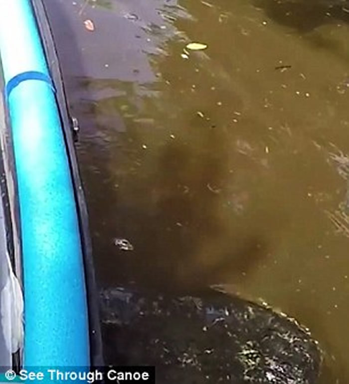 ����������������ӻ�͸����ľ�۶ɺӱ���ס �������׸��־���