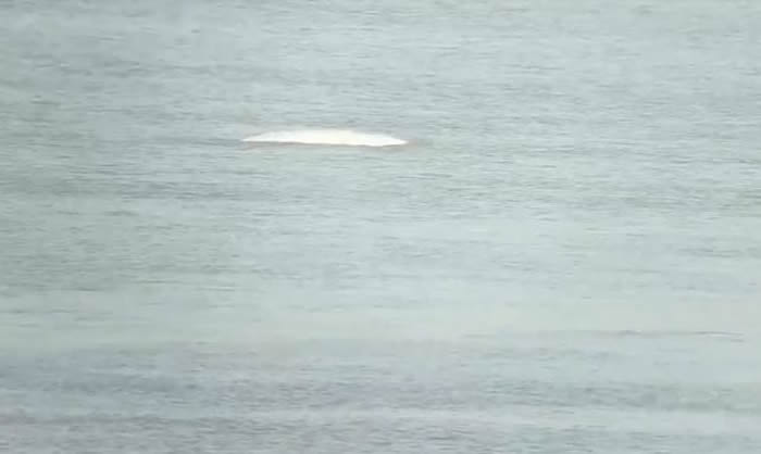 Ӣ���׶ؾ�������̩��ʿ�����а׾�