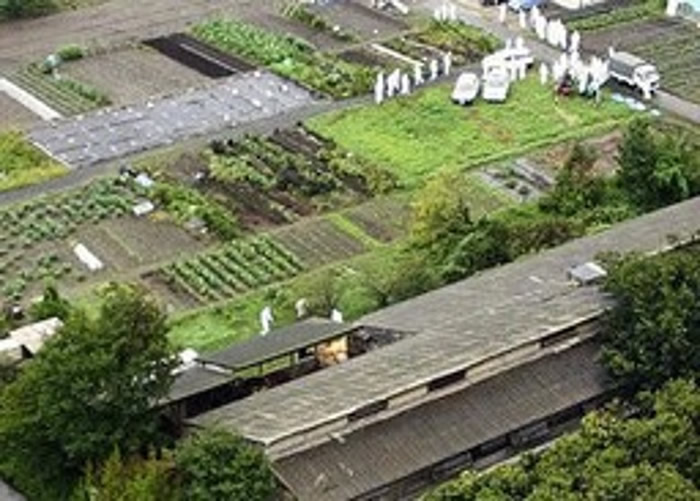 区内猪场较早前曾爆发疫情,政府曾展开扑杀猪只行动。