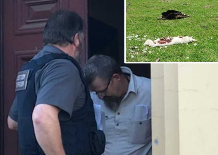 ����ά˹�أ�ͼ�ң���ɱ����Шβ��