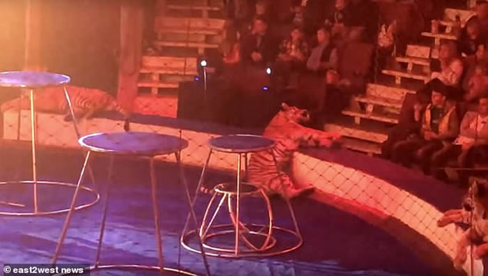 ˹Ϸϻڼε ѱʦǿܱˮ