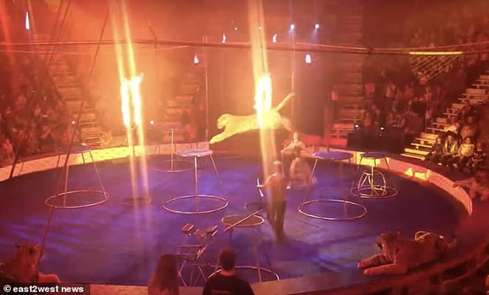 ˹Ϸϻڼε ѱʦǿܱˮ