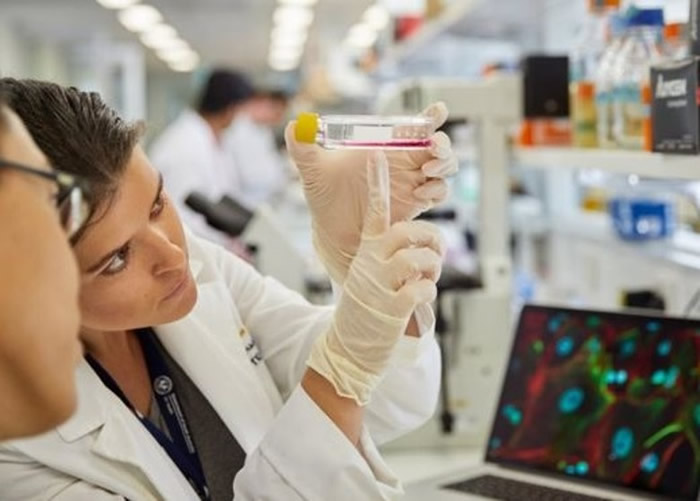 ����������Ϊ�׸������ӹ������Ĺ��ҡ�