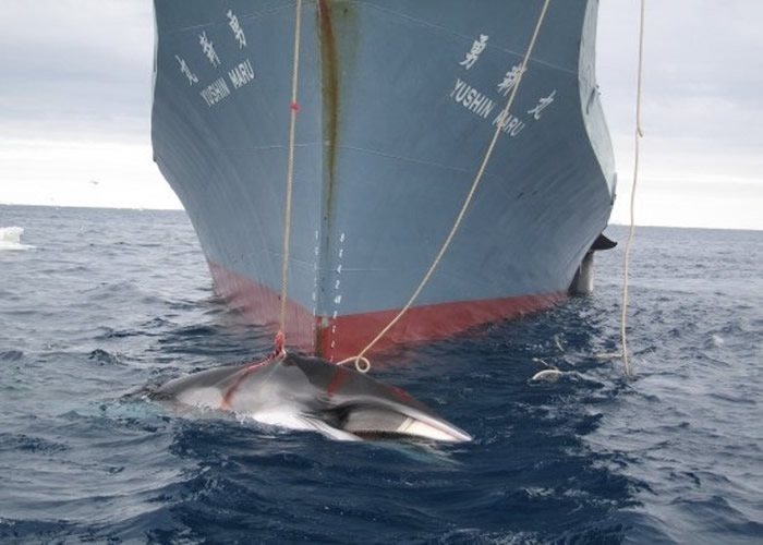 �ձ��Ĳ�����������鲻�ϡ�