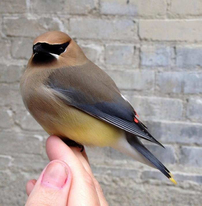 ���������մ��ݡ�����������ʧȥ����ײ�򴰻��ͽֵ��ϵ�����