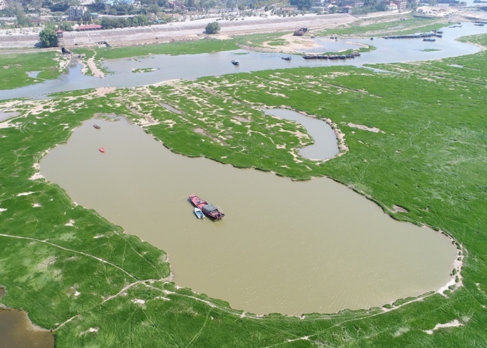 ����۶�����ѽ����ˮ�ڣ��д�ֻ��������ˮ�С�