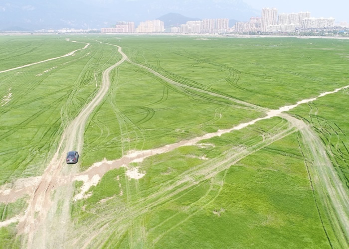 �೵�ڸɺԵ�۶������ʻ���ֳ������ݺύ���ĳ��ۡ�