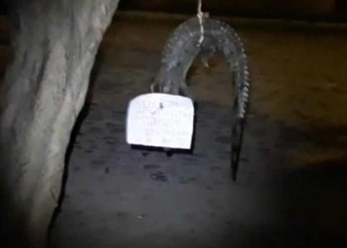 īȼʤһֻС˵ϲ ԡɱ