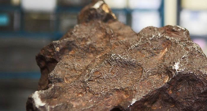 ������������С��ũ������30��ĵ���ʯ��Ȼ�Ǽ�ֵ10����Ԫ����ʯ