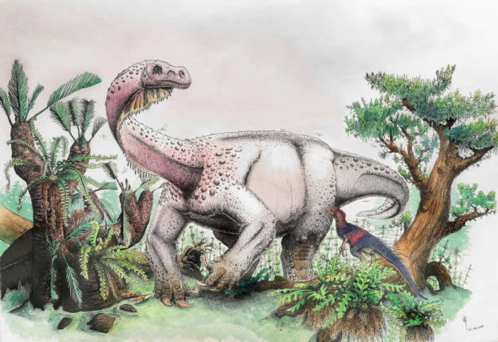 ͼһͷLedumahadi mafube٪޼ڵϷʳǰվһֻϷǵHeterodontosaurus ILLUSTRAT