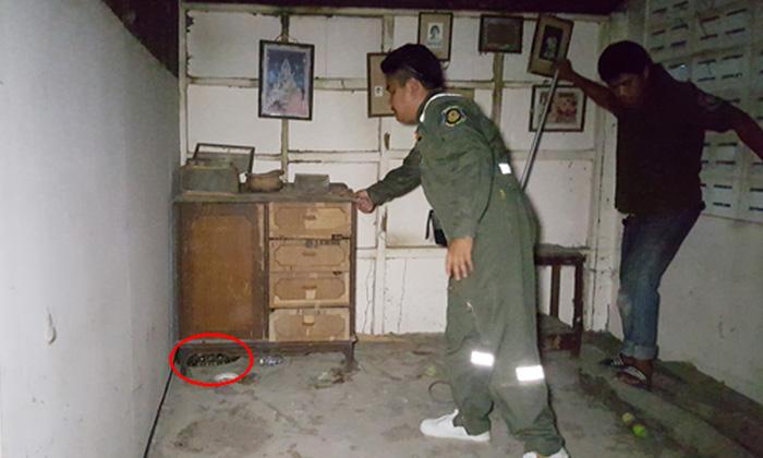 泰国素攀武里府居民小狗失踪 家中发现4.2米长巨蟒