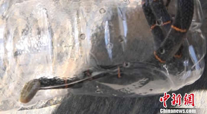 ����ʡ��ɽ����Ȫ�ȼٴ���Ӿ�ؾ��֡����µ�һ���ߡ�������ͷ����