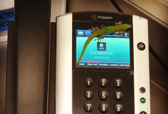 �����磿������������ҽ����9ͨ���������绰 �ϻ�ҽԺ����Ԫ��