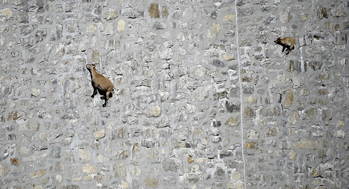 �����������ɽ�������ڶ��ڵ�����