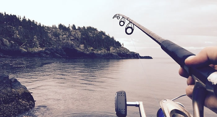 ������ѧ�����о����棺��Ҫ�������������