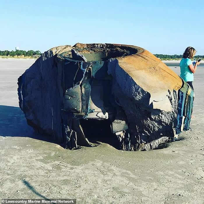 美国南卡罗来纳州海滩现类似UFO的神秘物体残骸