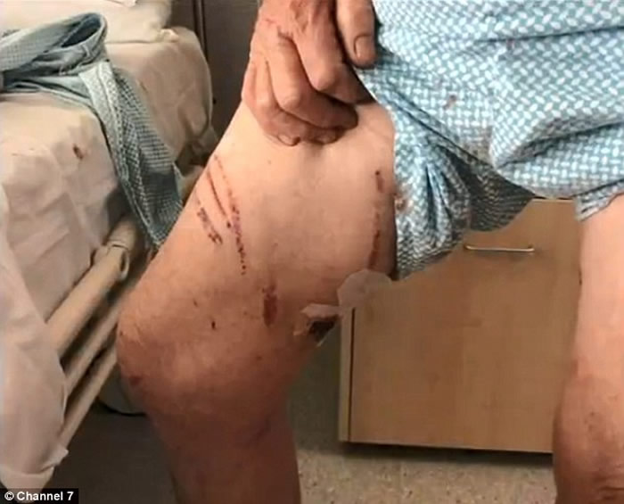 3���Ĵ�����������ʿ�����⵽һֻ�����Ϯ������