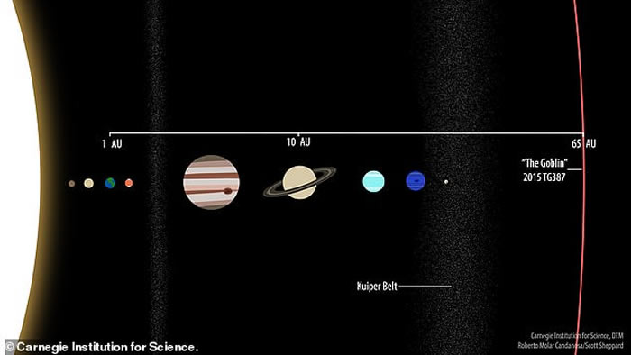 从这张插图中,我们可以看到新发现的2015 TG387(昵称小妖精)和太阳系其它天体公转轨道的比较。 ILLUSTRATION BY CARNEGIE INST