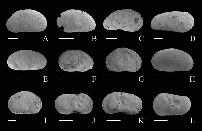 ������������ض���������໯ʯ