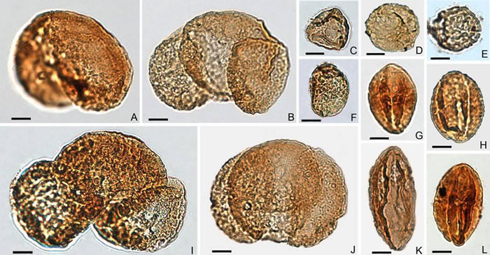 ������������ض������߷ۻ�ʯ