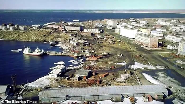 俄罗斯极北偏远小镇闯入饥饿北极熊 大街上翻找垃圾桶寻觅食物追逐路人