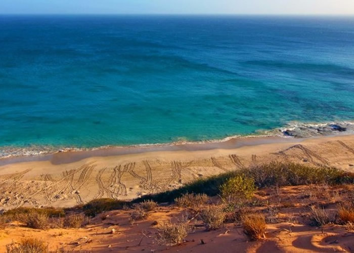 ���ֽ��������ؽ��¿˹��и񵺣�ͼ������̬ϵͳ��