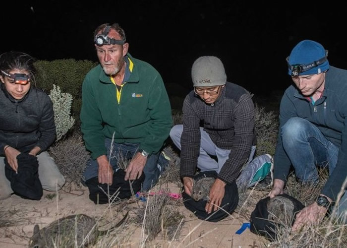 ��ѧ�Ұ��ô������ڽ������ƾ����¿˹��и񵺡�