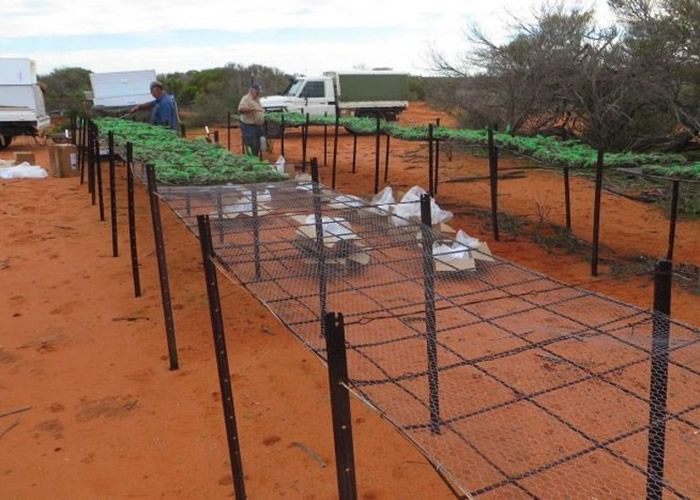 ���ַ����ն���׽Ұè��