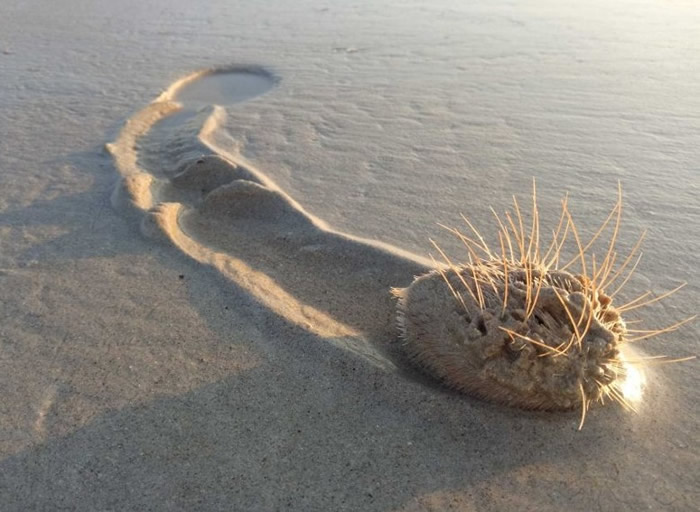 ��������̲���ճ��ֶ�ֻ���������ĺ�����