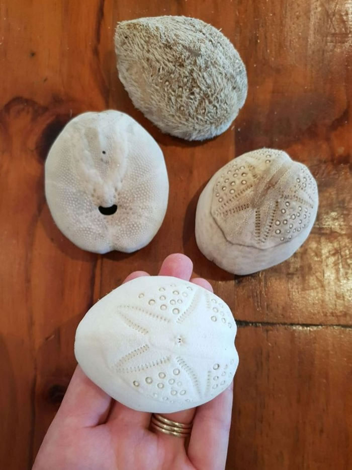 �����˻����ĺ����Ĺ�������װ���