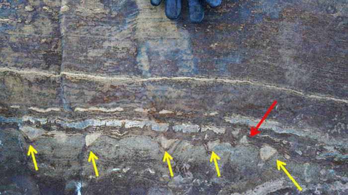 依苏阿上壳岩带