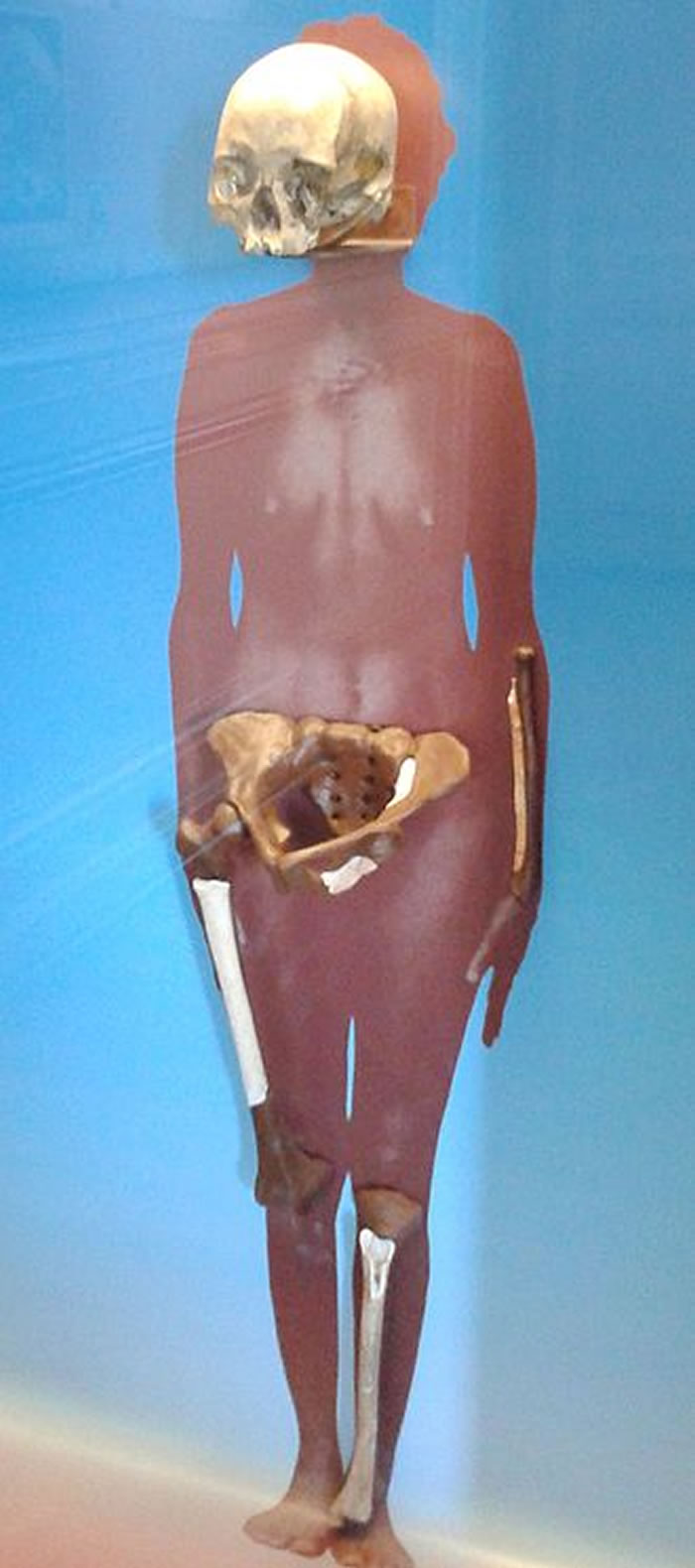 12000ʷĹ໯ʯ¶ǡڰҲݴҴ