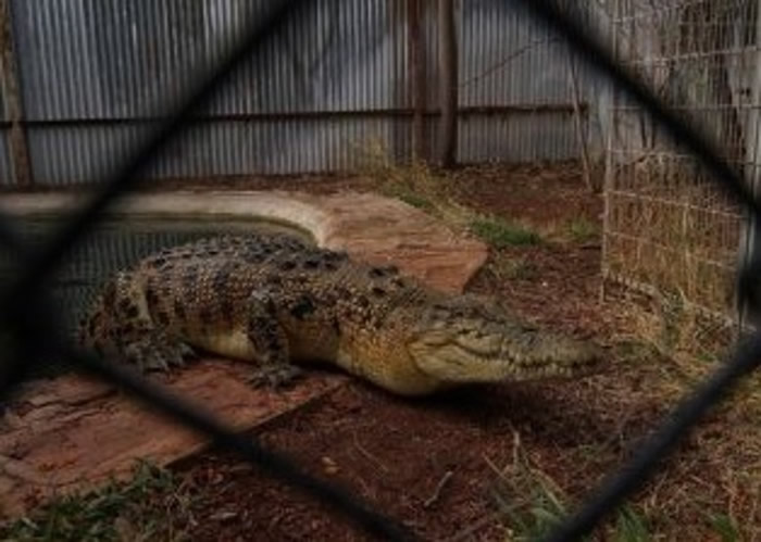 Sneeky Sam�����Ӵ�