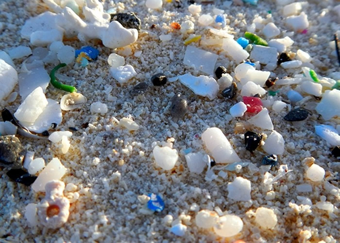 首次有研究在人粪中验出微塑胶。