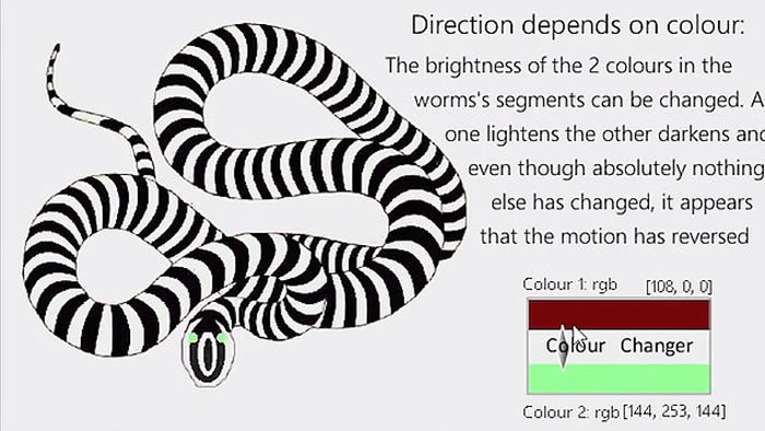 2018年度最佳视错觉大赛:日本数学家杉原厚吉《三种观察角度》夺得第一名