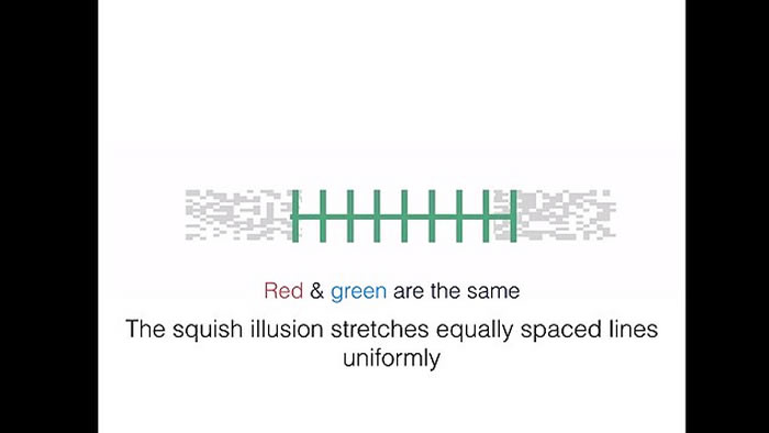 2018年度最佳视错觉大赛:日本数学家杉原厚吉《三种观察角度》夺得第一名