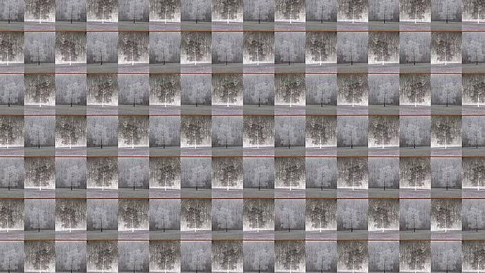 2018年度最佳视错觉大赛:日本数学家杉原厚吉《三种观察角度》夺得第一名