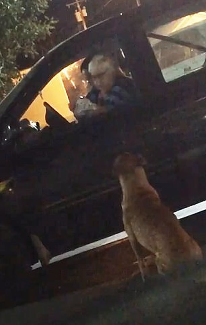 美国俄克拉何马州一只狡猾的狗会装成流浪狗骗途人买汉堡包喂它