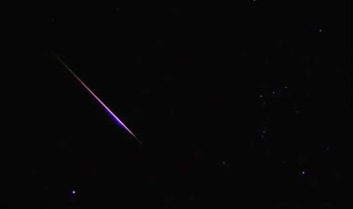 2018��11��18��ʨ���������꼫����